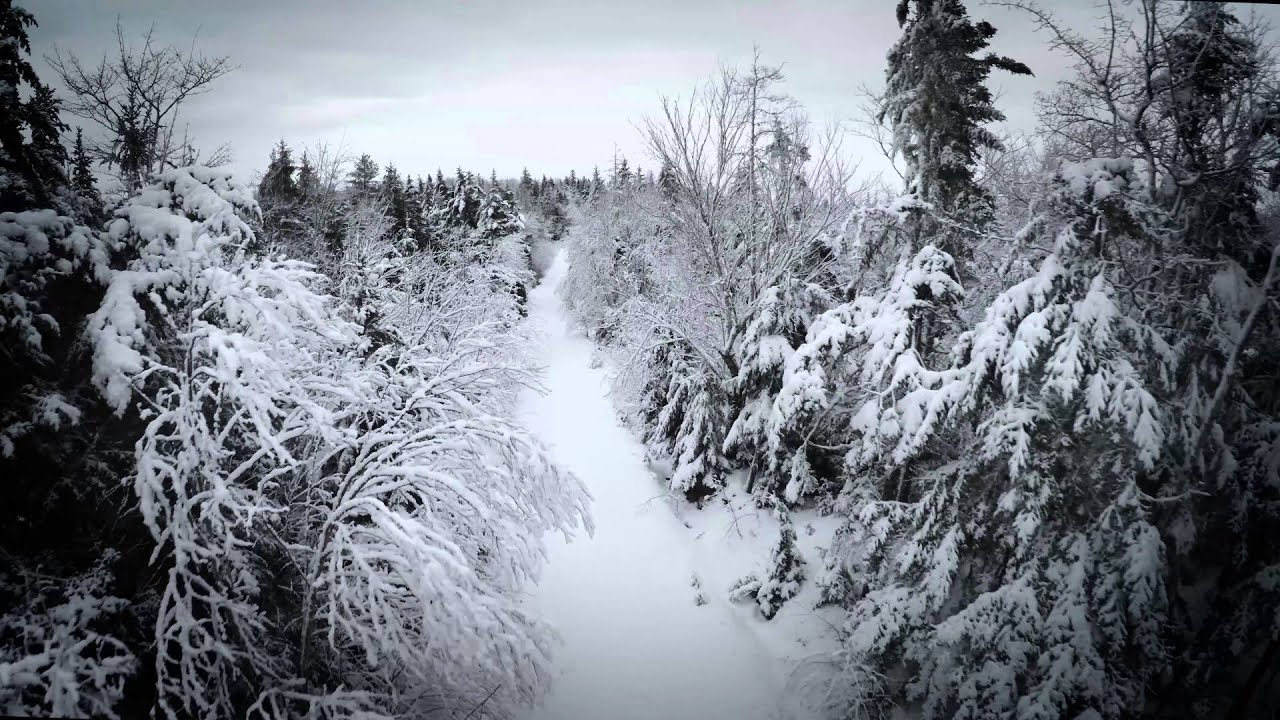 Snow covered path in the middle of the woods YouTube
