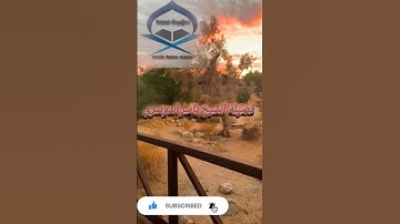 راحة نفسية تلاوة خاشعة الشيخ ياسر الدوسرى حفظه الله