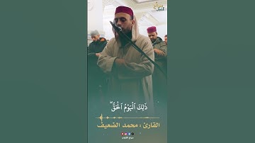 تلاوة خاشعة للشيخ القارئ محمد الضعيف من أواخر سورة النبأ🎙🤍