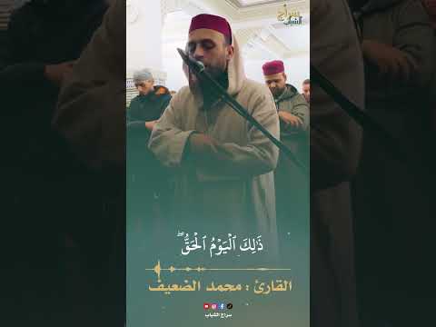 تلاوة خاشعة للشيخ القارئ محمد الضعيف من أواخر سورة النبأ