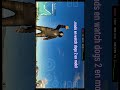 mods en watchdogs 2 pocof7 gamehub