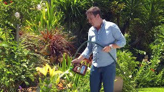 The Garden Gurus - Using Wetting Agents