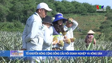 Tổ khuyến nông cộng đồng cầu nối doanh nghiệp và nông dân