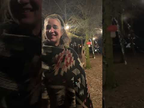 Trip around wonderland forest at night