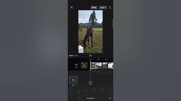 How Do You Create a Rebound Swing and Blurred Shake Effect for Your Videos on CapCut?