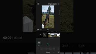 How Do You Create a Rebound Swing and Blurred Shake Effect for Your Videos on CapCut?