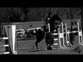 What is it - Equestrian sport