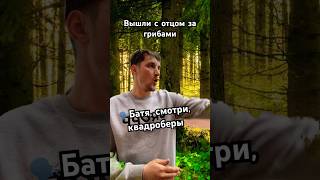 Напишите в комментариях, если знаете, кто такие квадроберы😀|Подпишись и оставайся на связи🧡