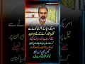 اردلی حکومت!