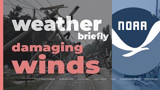 Weather Briefly: Damaging Winds