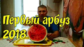 Дмитрич
