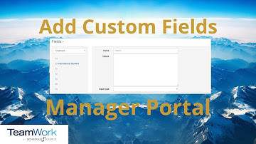TeamWork 5 Manager Tutorial: How to Add Custom Fields