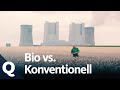 Ökologische und konventionelle Landwirtschaft – Ein Vergleich | Quarks