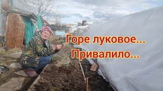 Горе луковое... Труд из обезьяны сделал человека.