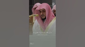 تلاوة نديِّة من #سورة_الذاريات للشيخ د.#الوليد_الشمسان