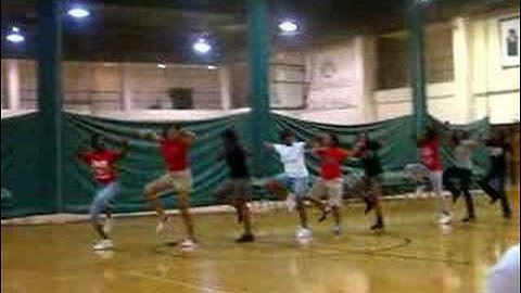 Iota Rho Chapter of Delta Sigma Theta @ UNCC