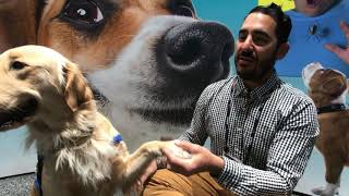 Next spring the california science center will launch an new
exhibition all about dogs, their history, superpowers and needs.
here's overview. this video ...