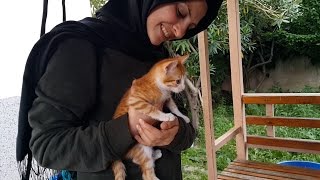 Download lagu Bahçemizde Yavru Kedi Sevdik ve Arkadaşlarıma Slime Yaptık Bahçe Vlog Fenomen Tv Bahçemizde Yavru Kedi Sevdik ve Arkadaşlarıma Slime Yaptık Bahçe Vlog Fenomen Tv