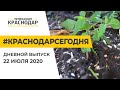 Краснодар Сегодня. Дневной выпуск новостей от 22 июля 2020