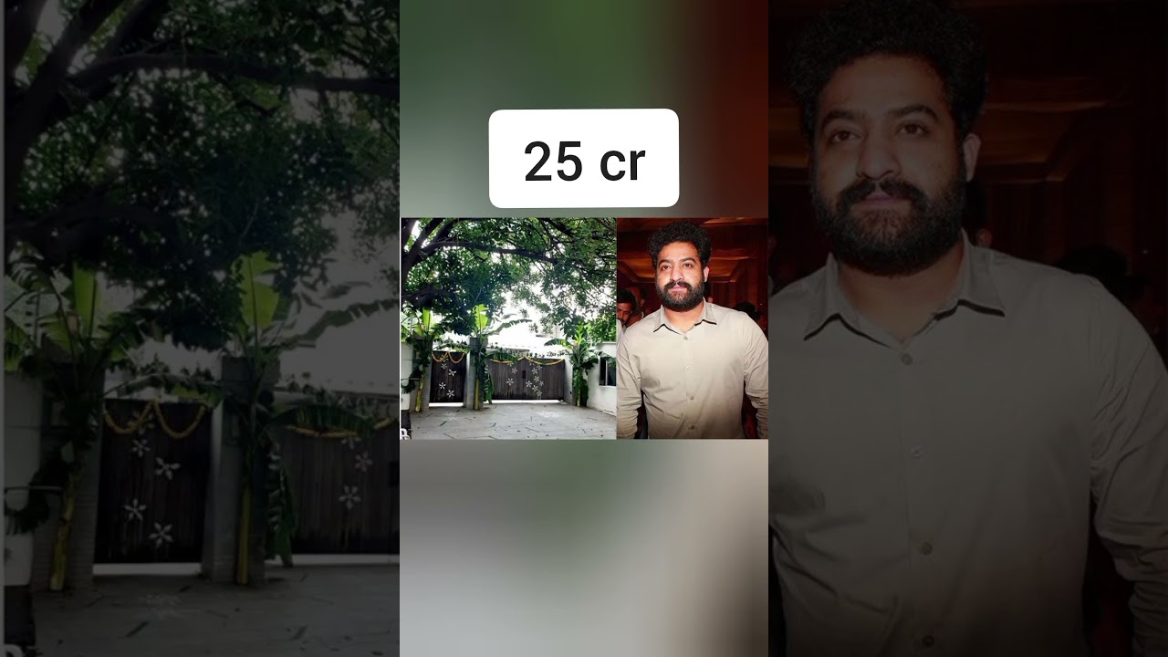 top 10 of south and their house value 