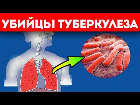 Видео: Где обнаружена реснитчатая клетка?