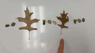 Found object patterns