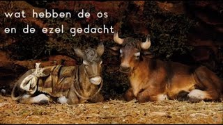 Miniatura de vídeo de "Wat hebben de os en de ezel gedacht"