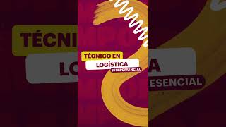 Técnico en Logística