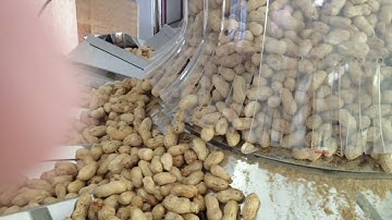 Auto-ant pre-made pouch packing machine with peanut +bucket elevator +Multi-head weighing