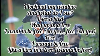 Elvis Presley - I Want To Be Free (Lyrics)