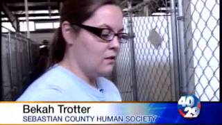 Volunteers See Depression Among Caged Dogs Resimi