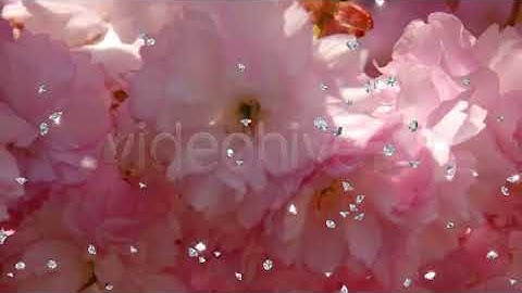 Falling Diamonds (4 Different overlays) | Motion Graphics - Envato elements