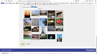 Celebrity Importing Data Files Into Stat Crunch Wealth