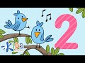 Bird Feeding and Counting Concepts