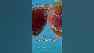 Apples Are 25% Air! That