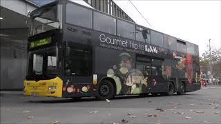 BVG - Busverkehr am Steglitzer Kreisel und Hermann-Ehlers-Platz am 19. November 2020