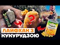 Лови Більше КОРОПА! Робочий Лайфхак з Кукурудзою на короповій риболовлі 2022