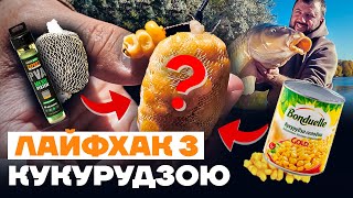 Лови Більше КОРОПА! Робочий Лайфхак з Кукурудзою на короповій риболовлі 2022