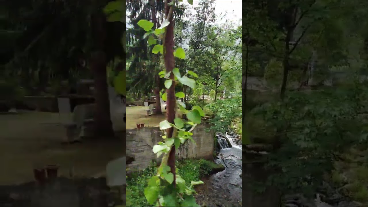 CASCADA 🌀 EN SANTA EULALIA DE MORCÍN 🌲 ASTURIAS ESPAÑA #shorts