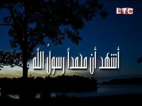 اذان العشاء قناة LTC الشيخ محمد محمود عطية 