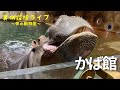 裏側探検Live10(かば館)
