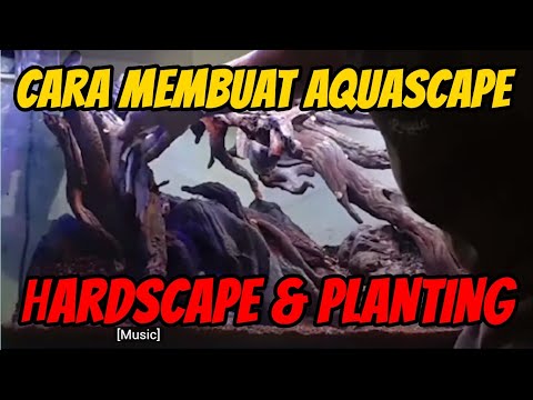 #ranggaek1---hardscaping-dan-planting-aquascape-tank-60cm