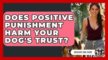 Does Positive Punishment Harm Your Dog