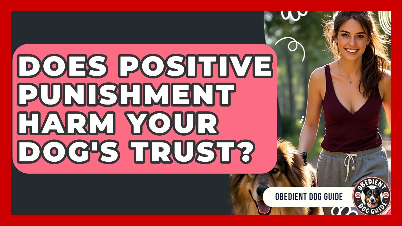 Does Positive Punishment Harm Your Dog's Trust? - Obedient Dog Guide