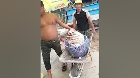 Vlogs 44 Bồi cá - Hồ Câu Tân Bình Dương 0865118773 KP3, P. Tân Định, Bến Cát, BD || Thầy Duy Vlogs