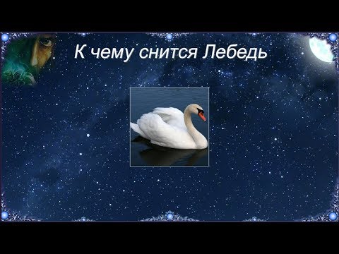 К чему снится Лебедь (Сонник)