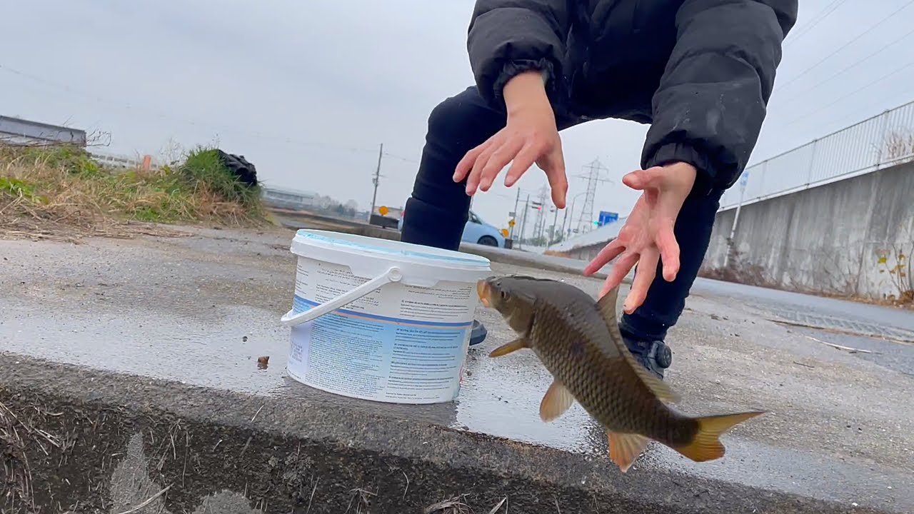 I caught a really big fish - YouTube