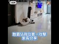 家長分享