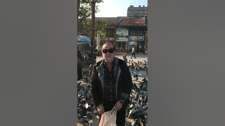 Restoran Brajlović - Kada Sejo Brajlović hrani golubove kod sebilja