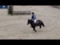 Yeats at the arena eventing in Ballindenisk on 26/2/22